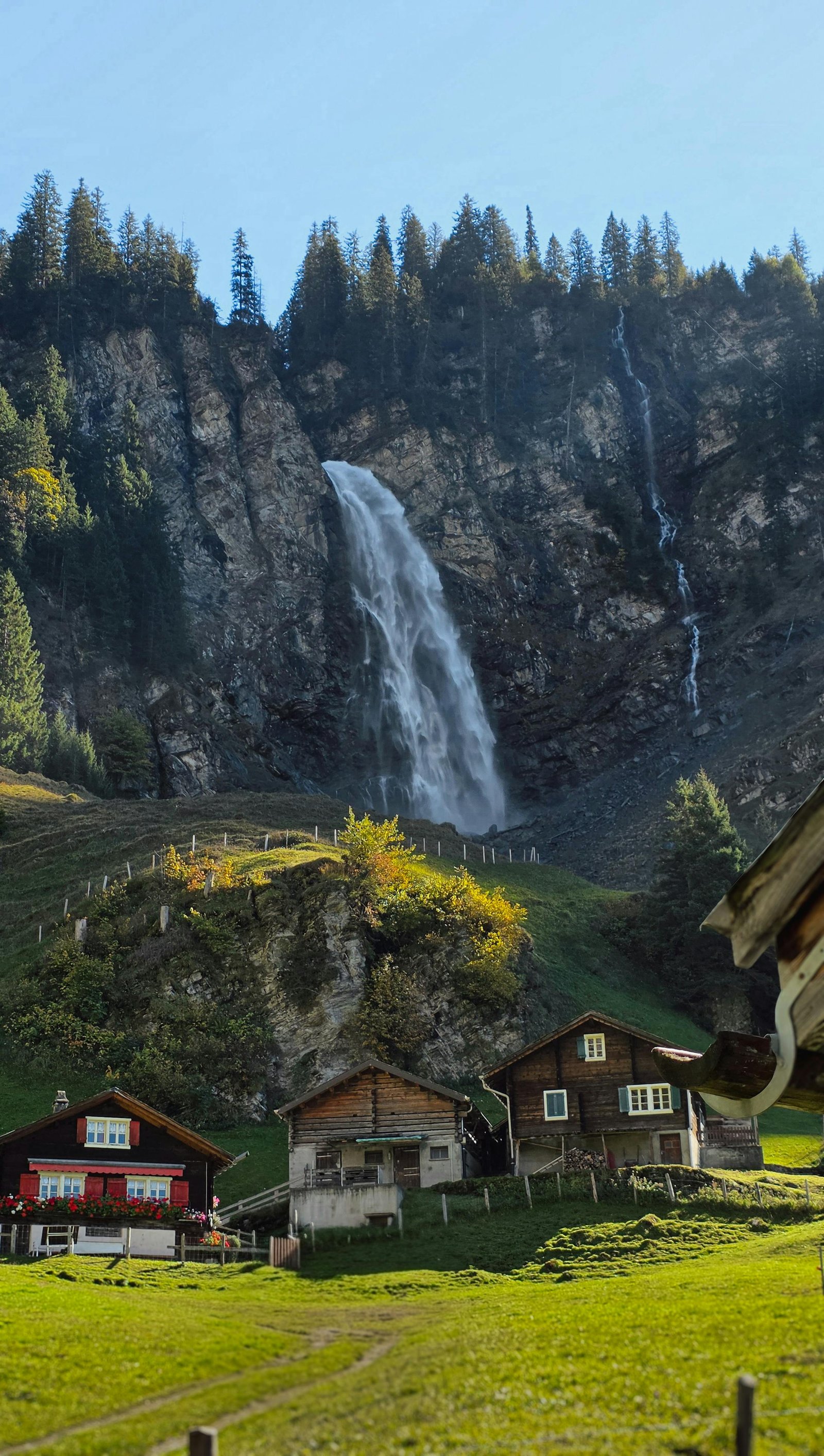 International packages